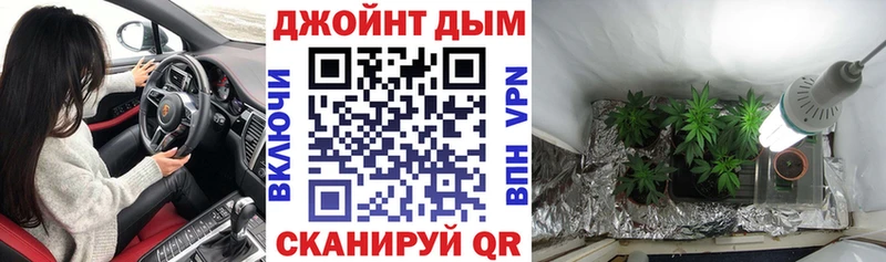 APVP Славгород