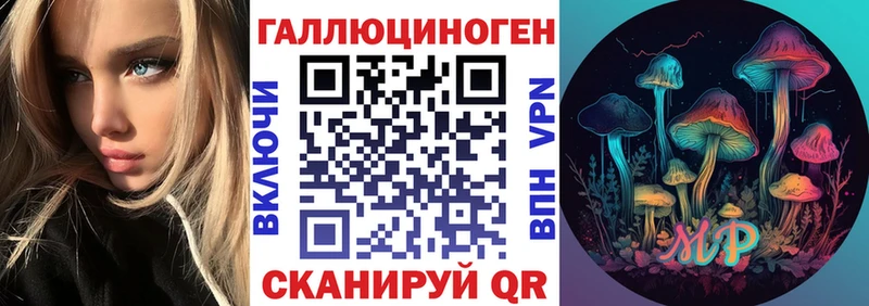 Галлюциногенные грибы GOLDEN TEACHER  Купить  Славгород 